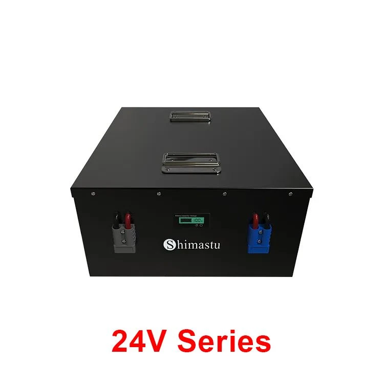 Bateria de liti LiFePO4 de 24 V