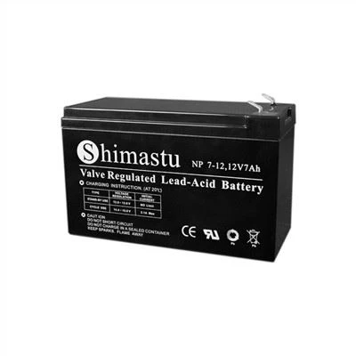 Bateries d'alarma 12V7Ah