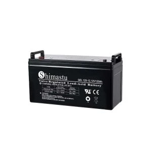 BATERIA GEL 12V120AH