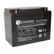 BATERIA GEL 12V60AH